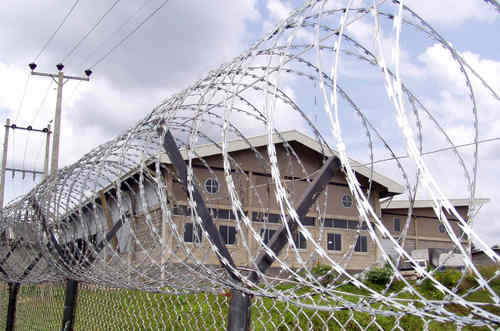 Concertina Fence